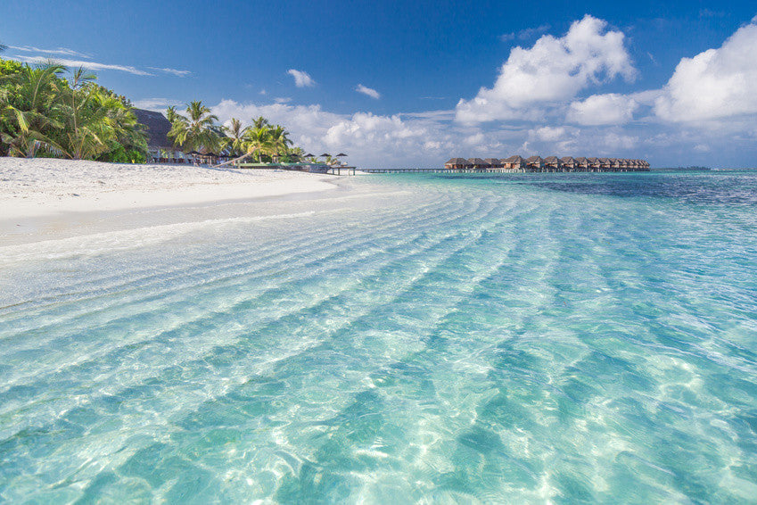 Katowice ✈️ Dominikana (01.01–08.01.26)