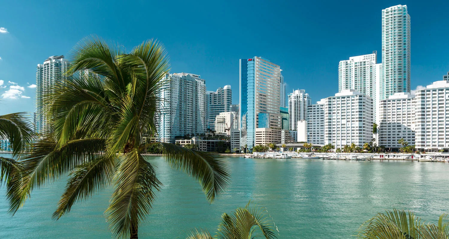 Kraków - Miami Beach (11.02–22.02.26)