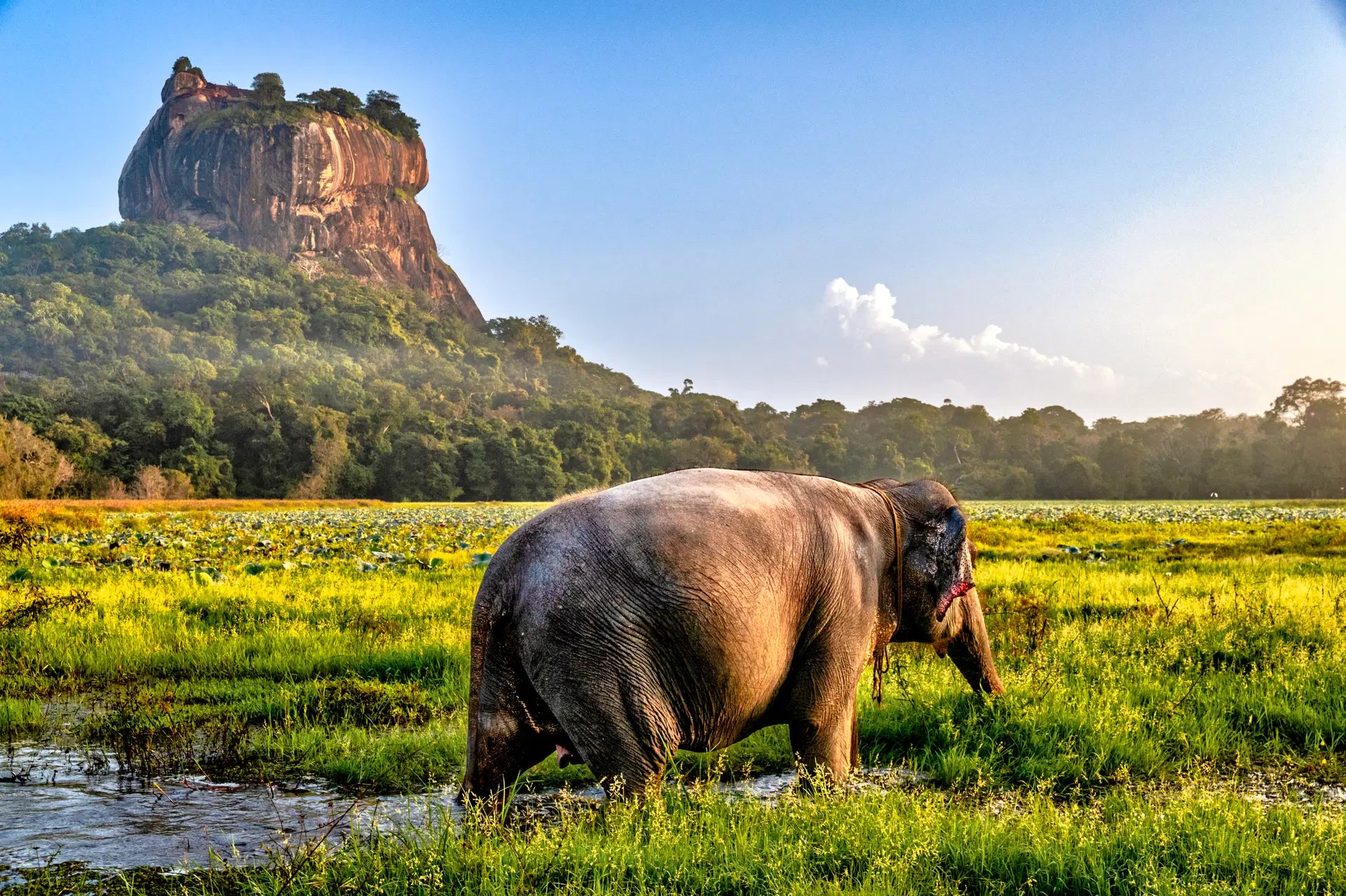 Warszawa ✈️ Sri Lanka (30.10–10.11.25)