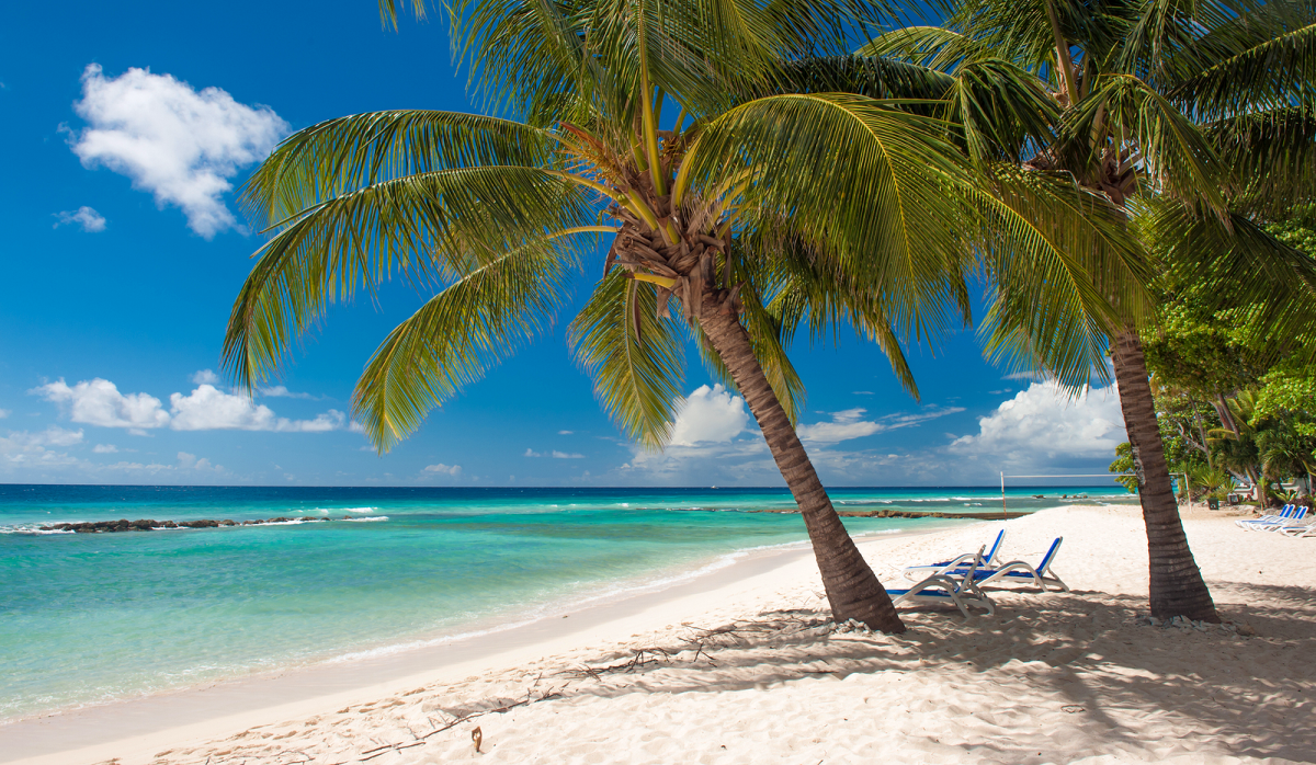 Kraków ✈️ Barbados (31.01–08.02.26)