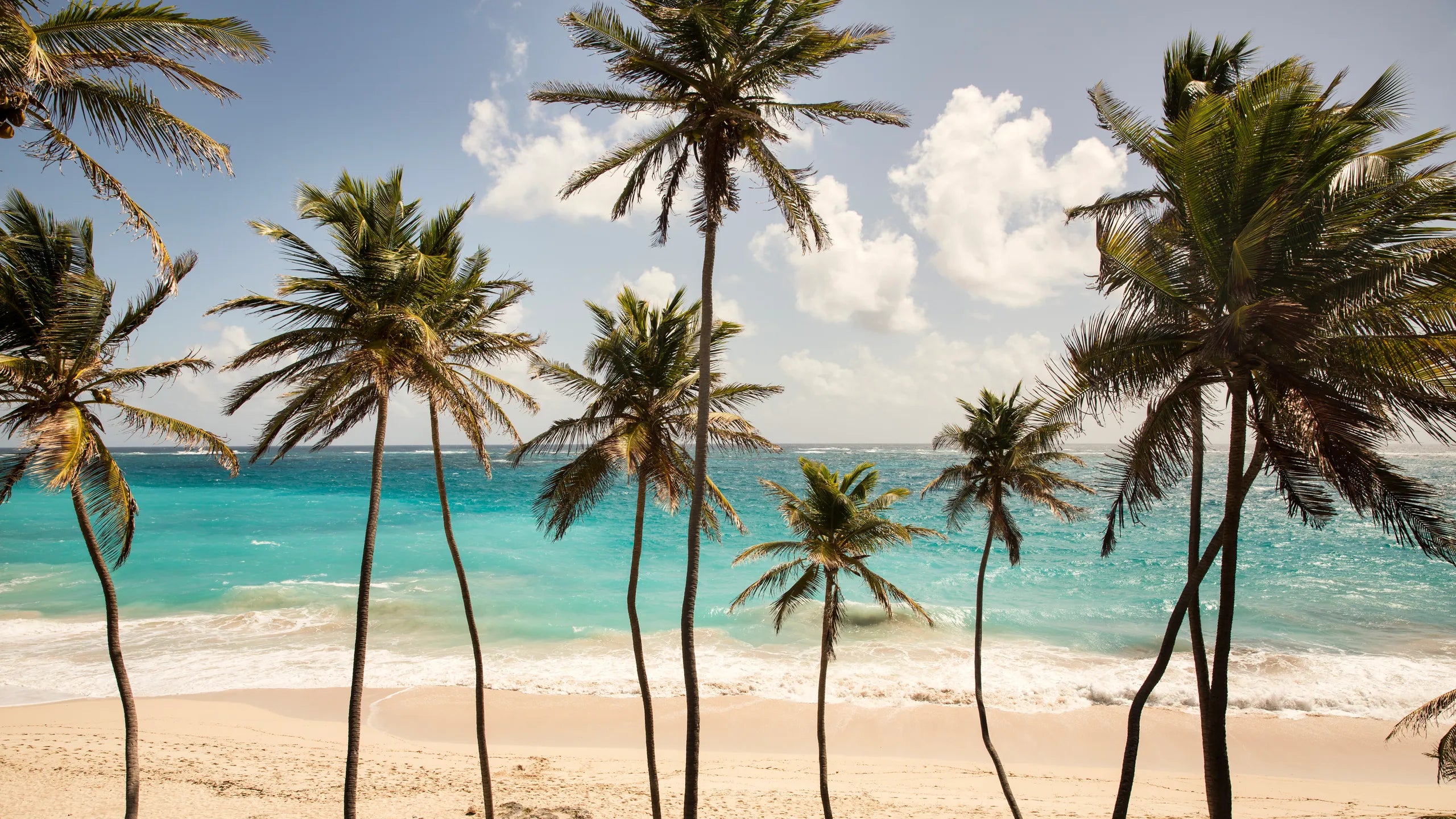 Berlin ✈️ Barbados (09.12–17.12.25)