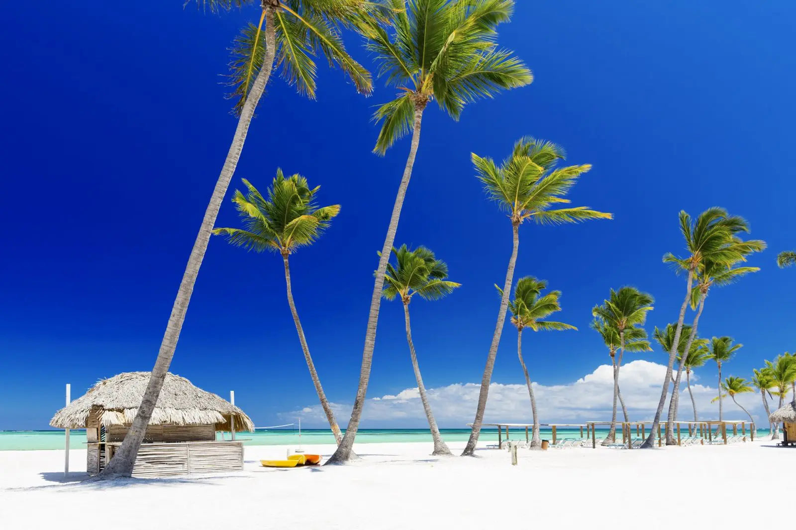 Berlin ✈️ Punta Cana (05.02–13.02.26)