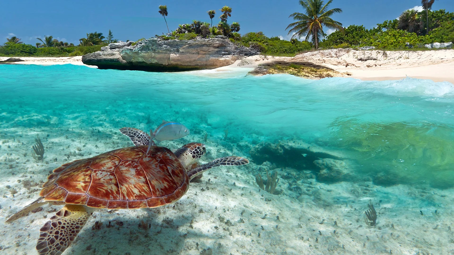 Warszawa✈️ Cancún (30.12–09.01.26)